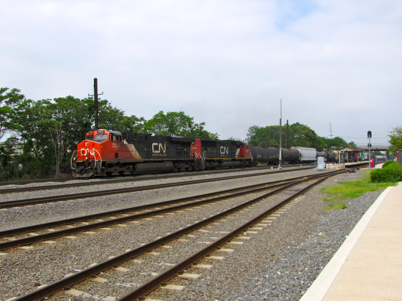 CN 2308 and 5629